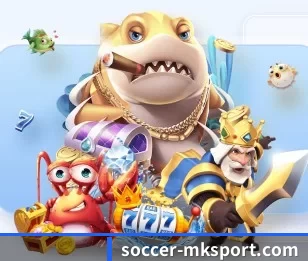 五个功能入口,赛程查询路径更短 | MKSports